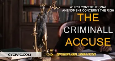The Criminally Accused: Their Rights and the Constitution