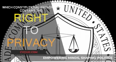 The Right to Privacy: Which Amendment Protects It?
