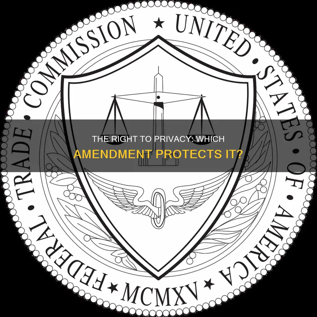 which constitutional amendment contains the right to privacy