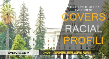 Racial Profiling: The Constitutional Amendment Protection