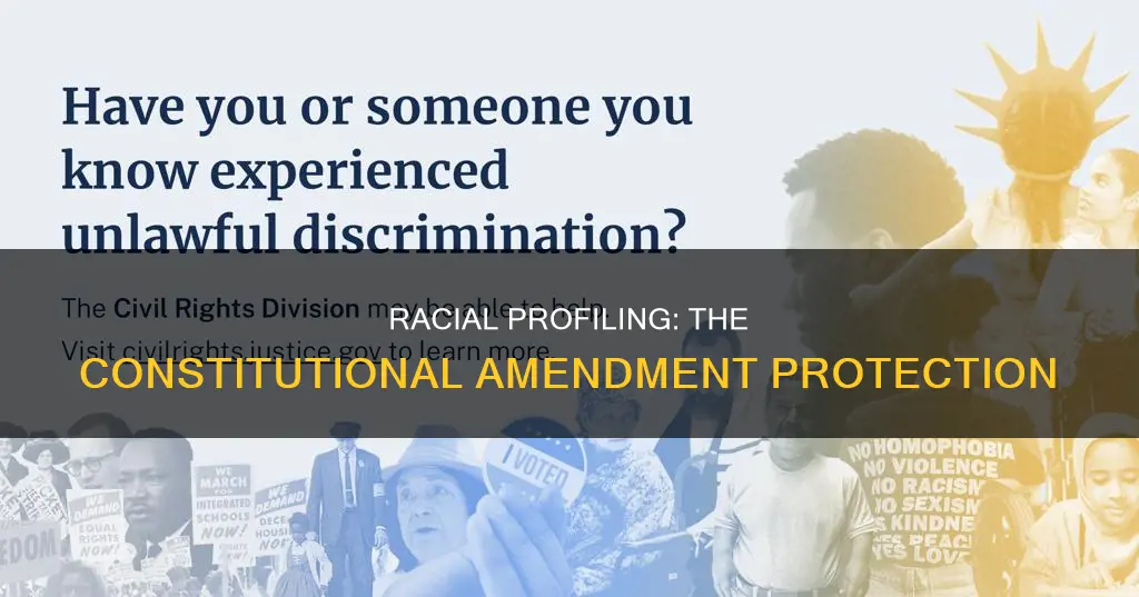 which constitutional amendment covers racial profiling