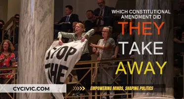 The Amendments They Took Away