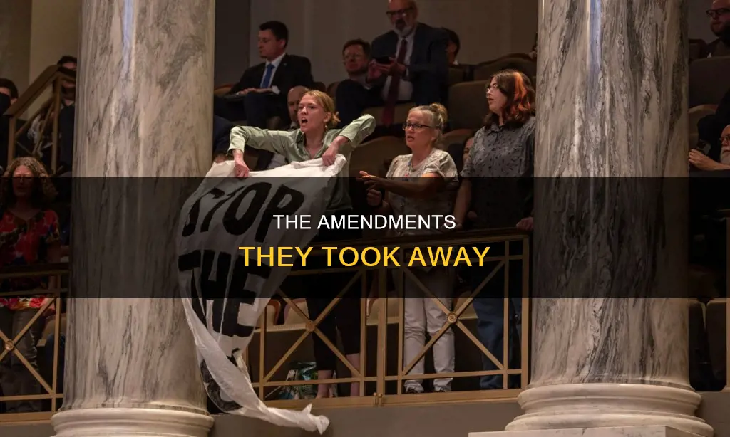 which constitutional amendment did they take away