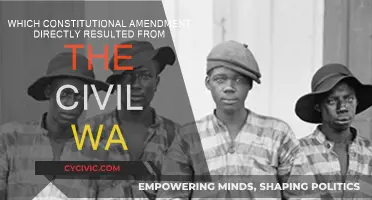 Civil War's Constitutional Legacy: Amendments