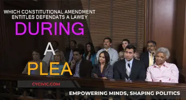 The Right to Counsel: Understanding Plea Deals