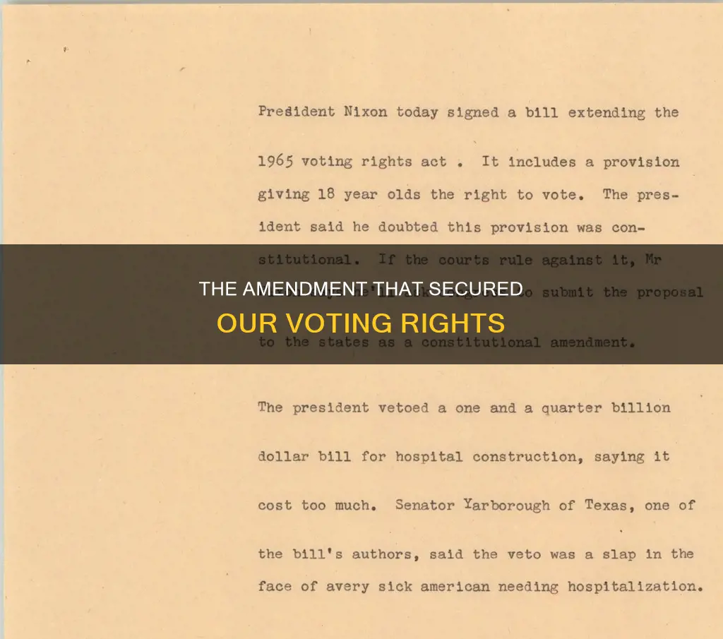 which constitutional amendment established voting rights