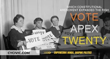The Amendment: Expanding Voting Rights for All