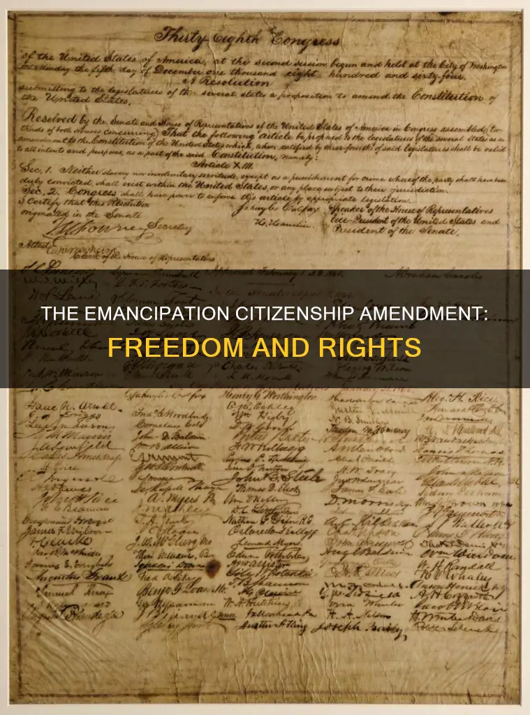which constitutional amendment extended citizenship to formerly enslaved apex