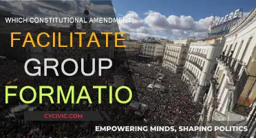 Understanding Group Formation: The Constitutional Amendment