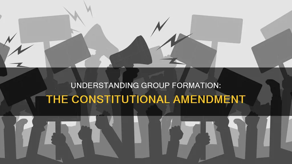 which constitutional amendment facilitates group formation