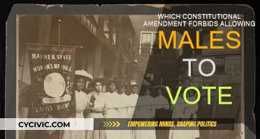 The Right to Vote: Constitutional Amendment for All