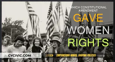 Women's Suffrage: Constitutional Amendment for Equality