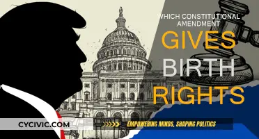 Constitutional Amendments: Birth Rights and Citizenship