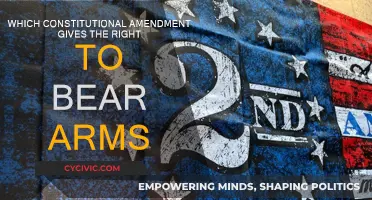 The Second Amendment: Right to Bear Arms