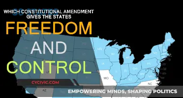 States' Freedoms: The Constitution's Powerful Amendment