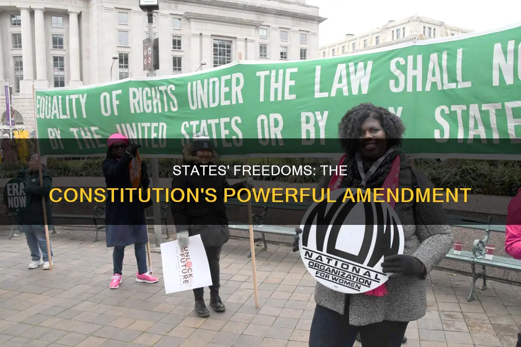 which constitutional amendment gives the states freedoms and control