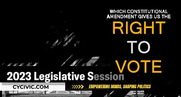 The Right to Vote: Constitutional Amendments