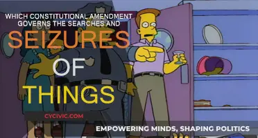 Understanding Search and Seizure: The Fourth Amendment