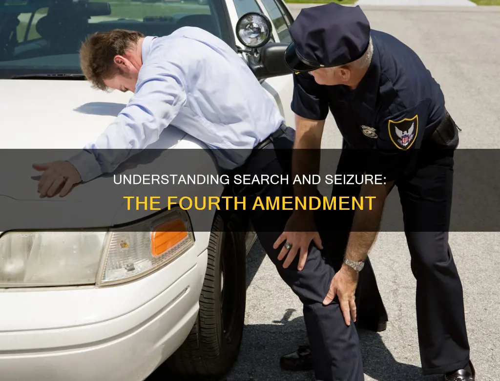 which constitutional amendment governs the searches and seizures of things