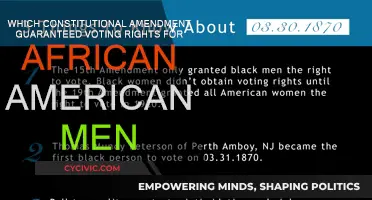The Voting Rights Act: African American Men's Suffrage