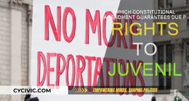 Juvenile Justice: Understanding Their Due Process Rights