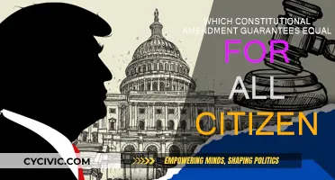 The Equal Protection Clause: Constitutional Right for All Citizens