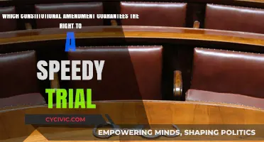 The Speedy Trial Amendment: Understanding Your Constitutional Right