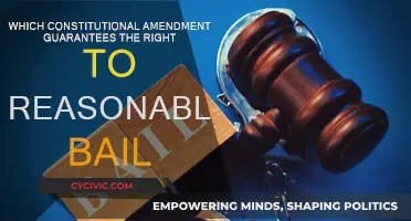 The Eighth Amendment: Understanding the Right to Reasonable Bail