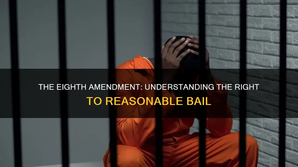 which constitutional amendment guarantees the right to reasonable bail