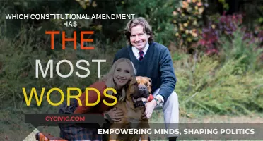 The Longest Amendment: Words that Shaped History