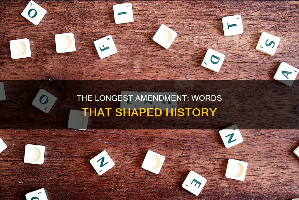 which constitutional amendment has the most words
