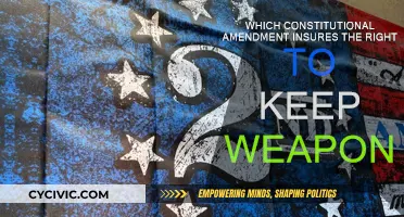 The Second Amendment: Right to Keep and Bear Arms