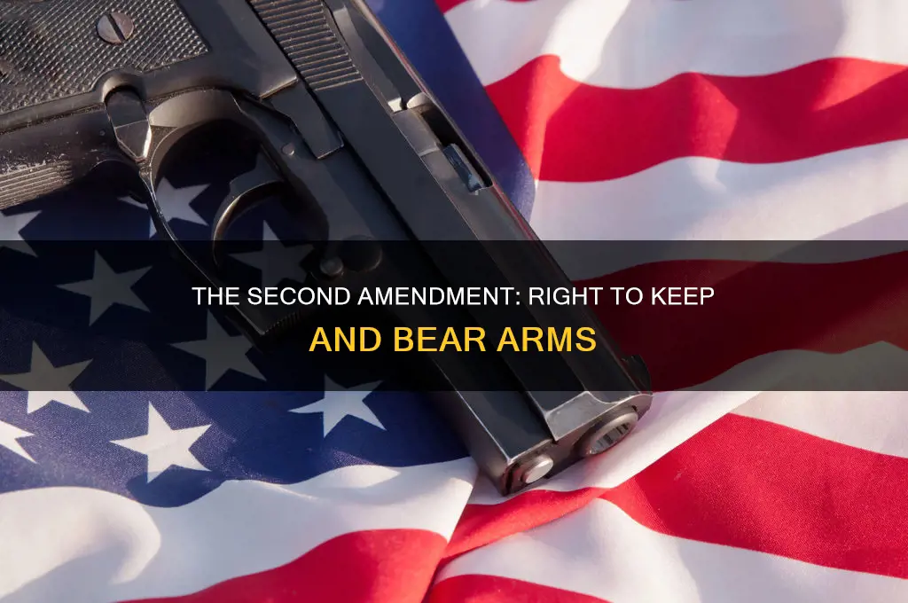 which constitutional amendment insures the right to keep weapons