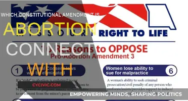 Abortion Rights: Constitutional Amendments Explained