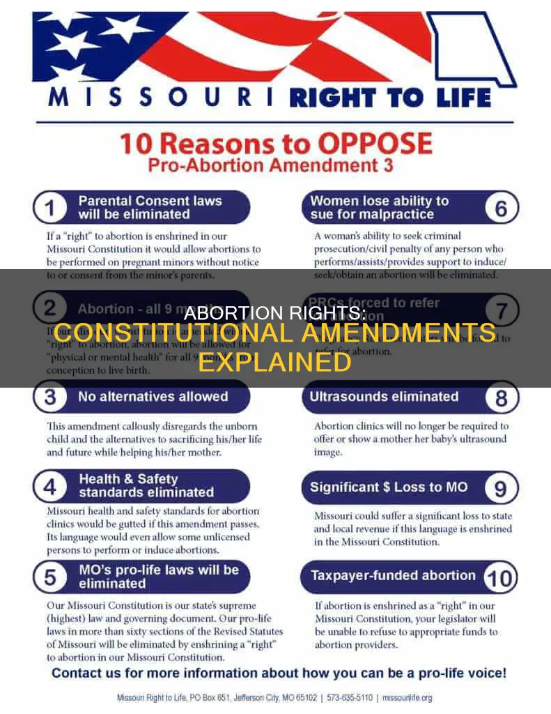 which constitutional amendment is abortion connected with