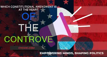 Controversies Fueled by the Constitution's Second Amendment