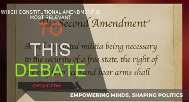 Constitutional Amendments: Relevant to Modern Debates?