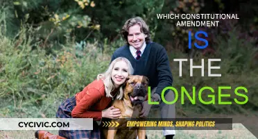 The Lengthiest Amendment: A Comprehensive Constitutional Change