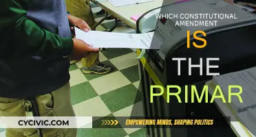 The Primary Amendment: Constitutional Cornerstone