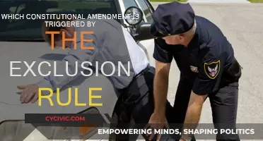 The Exclusionary Rule: A Fourth Amendment Protection