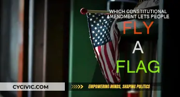 The Freedom to Fly: Constitutional Right to Fly a Flag