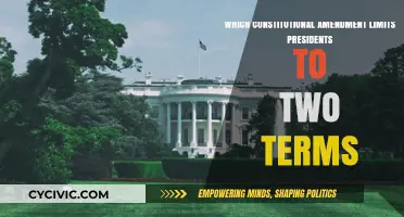 The Two-Term Limit: A Constitutional Amendment