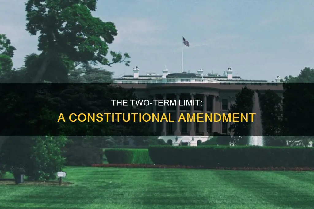 which constitutional amendment limits presidents to two terms