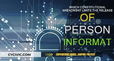 Protecting Personal Information: The Constitutional Amendment