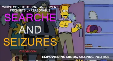 Understanding the Fourth Amendment: Unreasonable Search and Seizure