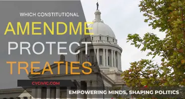 The Supremacy Clause: Treaties and the US Constitution