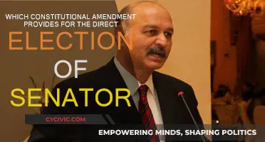 The Direct Election of Senators Amendment