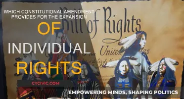 The Amendments: Expanding Individual Rights and Freedoms