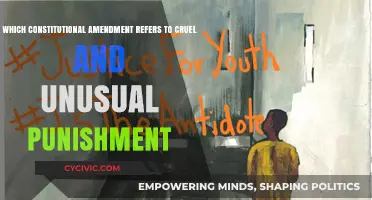 The Eighth Amendment: Cruel and Unusual Punishment