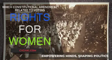 The Women's Suffrage Amendment: A Constitutional Victory